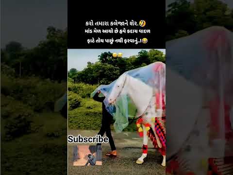 લગ્ન,शादी,marriage #love #lovesong #gujaratishayari #lovefailuresongs #youtubeshorts #music #viral