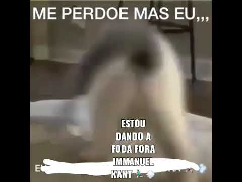 não consigo entender a analítica transcedental