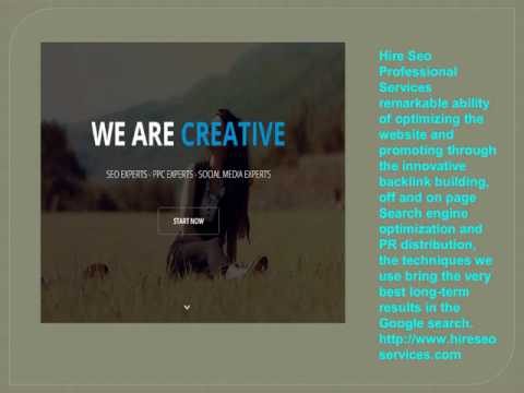 Hire Seo Professional