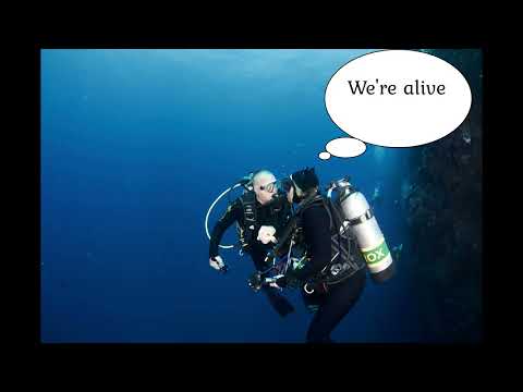 Shark Dive Great Barrier Reef