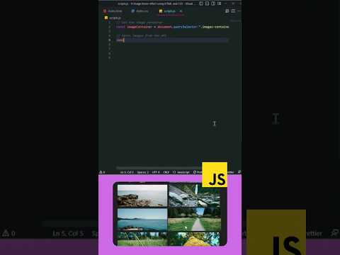Learn How to Add Hover Effects with HTML & CSS
