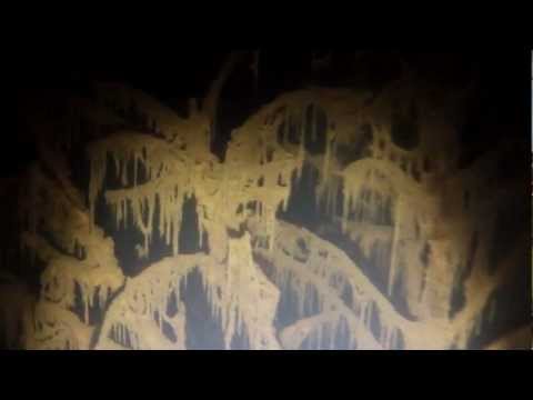 Steinberger Süßwasserseminar: Nachts im Steini 2012