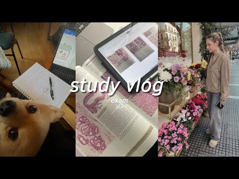 STUDY VLOG | Exam Szn Grind: All-Nighter, Caffeine & Study Marathons!