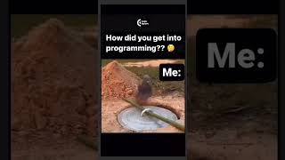 How I Got Into Programming… It Wasn’t a Love Story, It Was a Cry for Help 😩💻 #DevOrigin