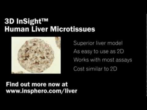 3D Human Liver Microtissues for in-vitro toxicology - A brief introduction