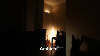 "Ambient Light Placement Tips for Every Room"