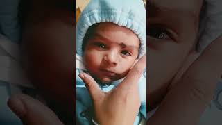 Hello world #Shorts#ForYou#FYP#ForYouPage#Trending#ViralVideos#MustWatch#DailyDoseOfCute