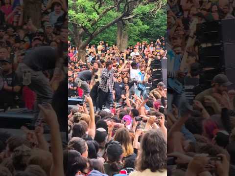 TURNSTILE AT THE WYMAN PARK DELL #turnstile #hardcore #tlc #america