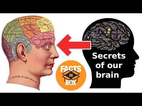You didn't know about these Secrets of Our Brain | Facts in Box
