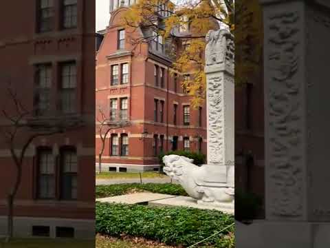 Harvard Campus Fall Walk | ASMR