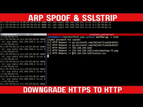 Man-in-the-Middle (MITM) Attack Using SSLStrip with HSTS Protection Explained