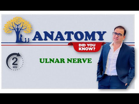 ULNAR NERVE_2 MINUTES REVISION SERIES