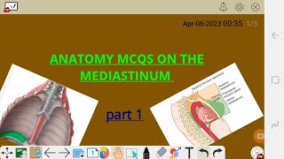 ANATOMY MCQS ON THE  MEDIASTINUM AND ITS CONTENT(thymus,aorta pericardium,eosophagus phrenic nerve )