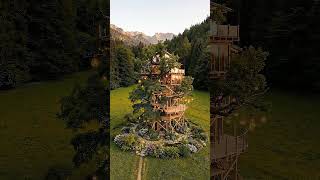 Million Dollar Palace INSIDE a Giant Tree! 🤯🌳 #Shorts