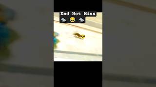 Mouse🐀KO mar he daya 😂🐀#funny #mouse#mousegaming#alibhai#memes
