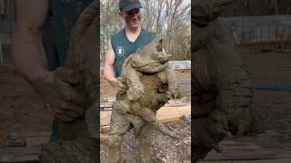 A massive 120 pound Alligator Snapping Turtle 😳