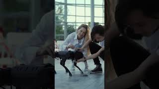 Lightning-Fast Robot Dog Runs 100 Meters in Under 10 Seconds#robots #robotdogs #shortvideo