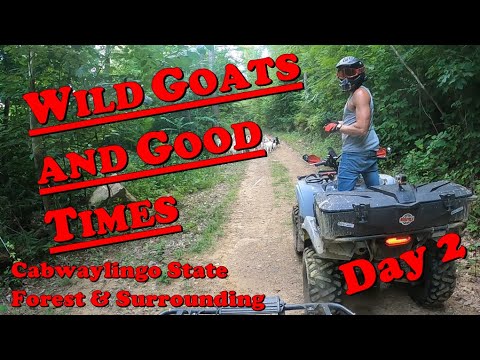 HMT Cabwaylingo - Wild Goats and Good Times | Yamaha Grizzly | Kodiak 700 | Honda Rancher 420