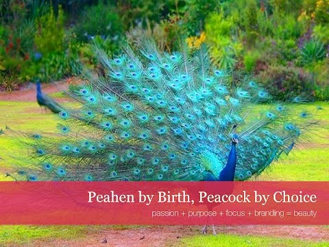 Be the Peacock: Creating and Loving Your Online Brand