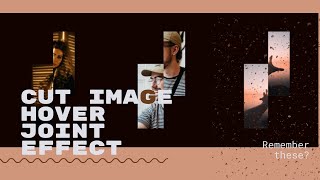 Cool Hover Effect with HTML and CSS (No JavaScript)