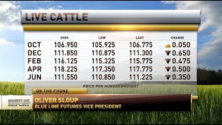The Live Cattle cash market and Lean Hog volatility | Oliver Sloup joins RFD-TV
