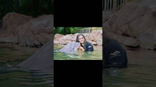 Discovery Cove! Dolphin swimming here in Orlando, Florida! #discoverycove #orlando #exploreflorida