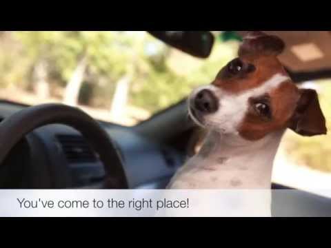 Pet Friendly Hotels Mesa, Arizona