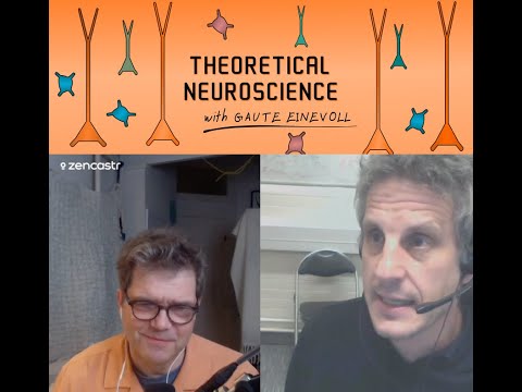 Episode #26: On the population code in visual cortex - with Kenneth Harris