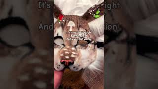 Got some eye mesh! *⋆.˚ #maskmaking #catmask #notatherian #smallbusiness