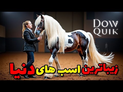 زیباترین اسب های دنیا:شاهکارهای جذاب ترین نژادهای اصیل 😳