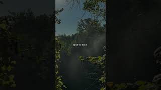 Trust the process. Trust the timing.