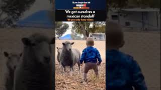 Funny Animal videos | Viral Funny videos | try not to laugh | Trending now | #shots #nyc #nycvlog
