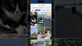 iPhone 101: How to change the wallpaper to an image in Photos library