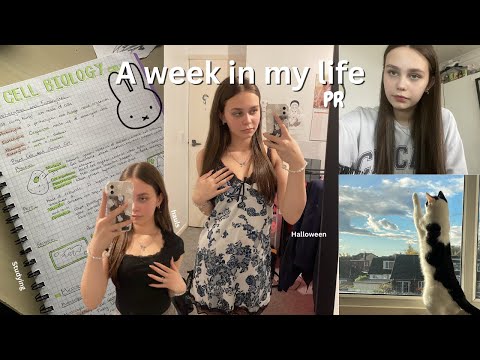 A week in my LIFE 🎀 YESSTYLE influencer + other sponsors 💫 STUDY + Halloween!