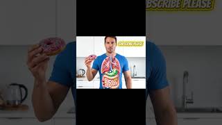The Science Behind Your Food: The Donut's Journey Through the Human Body