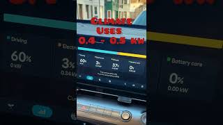 Kona 2023 - another bug displaying key metrics #2023hyundaikona #softwarebugs