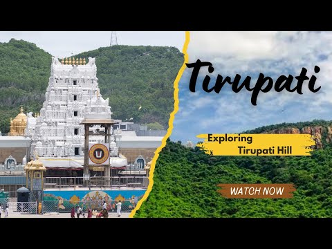 ತಿರುಪತಿ 🕉️❕❗❕||Tirupati Darshan – Exploring the Beauty of Tirumala Hills||Tirupati Vlog||kannada