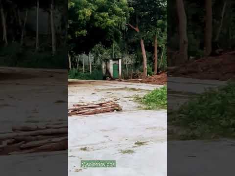 kaha mar Gaye sab gaun wale