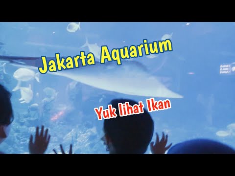 Yuk lihat Ikan di Jakarta Aquarium
