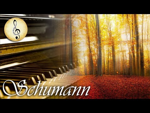 Schumann Classical Music for Studying | Relaxing Piano Music | Study Music for Reading Concentration