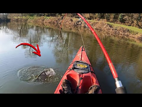 HUGE SURPRISE while fishing ZANDER (PIKE-PERCH) ! 