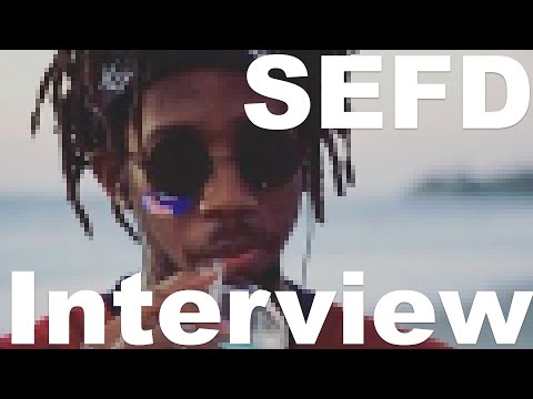 Prankster Converted To Science - Interview with SEFD