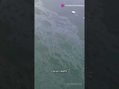 Houthis Blow Up Crippled Oil Tanker, Environmental Disaster Looms
