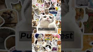 AI Slop, explained by cats. #cat #code #ai #slop #dev