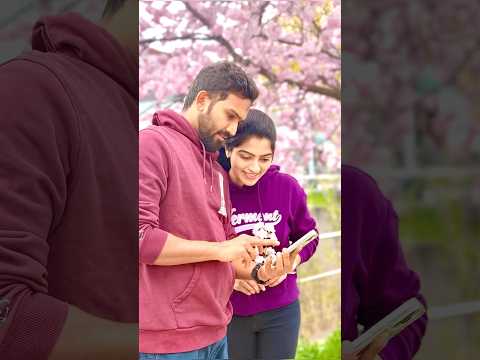 Spring in Bloom 🌸🌸 | Cherry Blossom Walks & Nature's Calm 🍃💫
