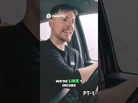 MrBeast Recent Video #mrbeast #youtubeshorts #viralvideo #shorts #goviral #edit #animals #nature