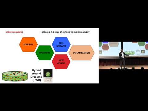 Falling Walls Lab Sg 2019 - Marek KUKUMBERG / Breaking the Wall of Chronic Wound Management