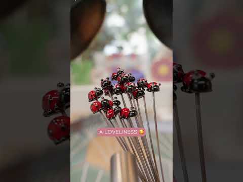 What is the word for a group of Ladybirds/Ladybugs?