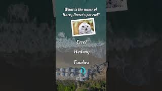 Fun quiz 2024. Fun trivia quiz 2024. Daily quiz 2024. #funtrivia #funquiz #dailyquiz