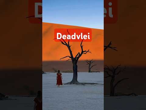Deadvlei #shortfeed #shortviral #countrys #beautifulplace #travel #love